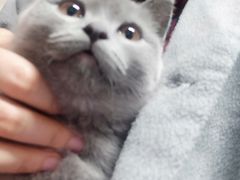 -比亚森自助烤肉料理(裕华店)