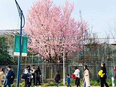 -城市名人酒店-喝彩西餐厅(名人城市广场店)