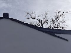 -北寺塔