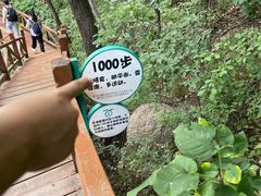 -大岭沟猕猴桃谷风景区