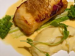焗法国黑鳕鱼-Oyster Talks 四度蚝法餐厅