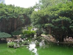 -九龙公园