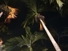 -Lam Vien Restaurant