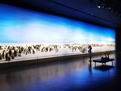 -罗红摄影艺术馆