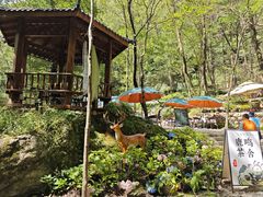 -牛背梁国家森林公园