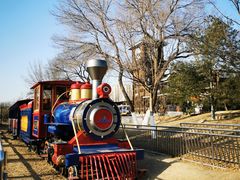 -永定河休闲森林公园