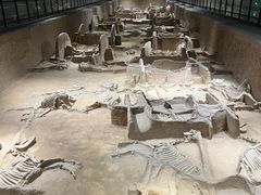 -洛阳周王城天子驾六博物馆