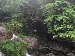 -藏龙百瀑风景区