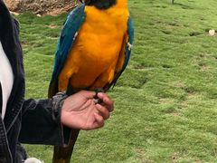 -西霞口神雕山野生动物世界