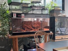 -大视光学•LINDBERG林德伯格•全球手工眼镜集合店(王府井店)