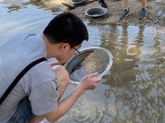 -疏芬山金矿