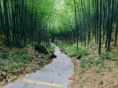-高老庄·老溧阳·私房菜(南山竹海店)