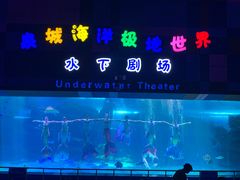 -泉城欧乐堡海洋极地世界