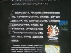 -中国西峡恐龙遗迹园