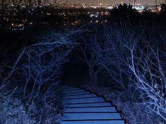 -北京西山国家森林公园