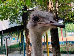 -武汉紫薇都市田园