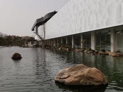 -罗红摄影艺术馆