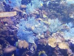 -海合安青岛极地海洋公园
