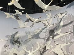 -中国湿地博物馆