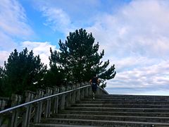 -临空公园(仮)