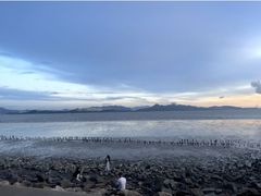 -深圳湾公园(南山区)