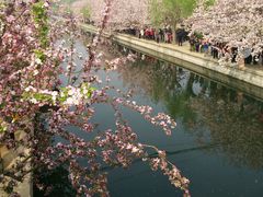 -金百万烤鸭店(马甸店)