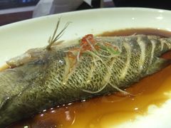 清蒸鲈鱼-黑鸡小馆(金源店)