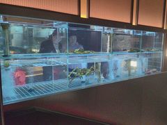-苏淮景·苏闽融创菜·海鲜(原空港井河轩店)