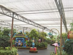 -南宫五洲植物乐园