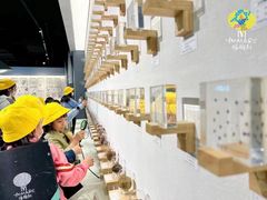 -杨梅红艺术教育(西安高新唐延教学中心)
