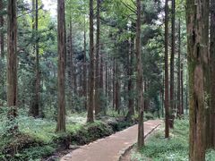 -罗田薄刀峰风景区