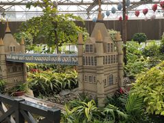 -南宫五洲植物乐园