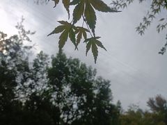 -西湖风景区-江洋畈生态公园