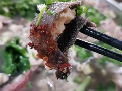 -小杨翘脚牛肉
