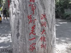 -大槐树寻根祭祖园