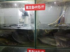 -万和源炝锅城·活鱼现炝(文艺北路店)