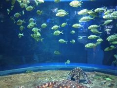 -大连圣亚海洋世界