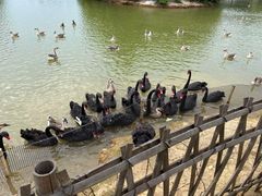 -艾溪湖湿地公园