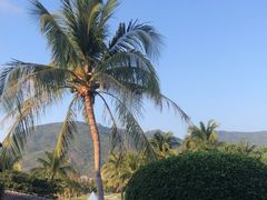 -亚龙湾老厨房·海南家常味