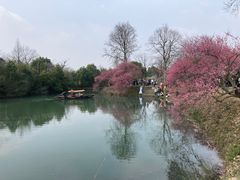 -西溪国家湿地公园