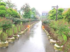 -武汉紫薇都市田园