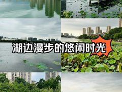 -梅溪湖公园