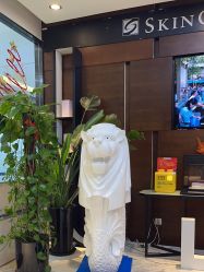 -洁铭新加坡医美