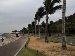 -野狸岛