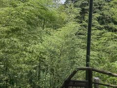 -东天目山风景区