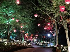 -天目湖山水园