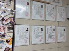 -半岛宠物医院24小时(白果林店)