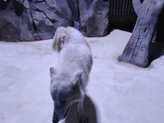 -上海海昌海洋公园