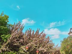 -西安青龙寺遗址景区