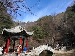 -王顺山国家森林公园